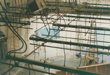 PAINTING A NEWS SET FOR CHANNEL 4, SAN FRANCISCO